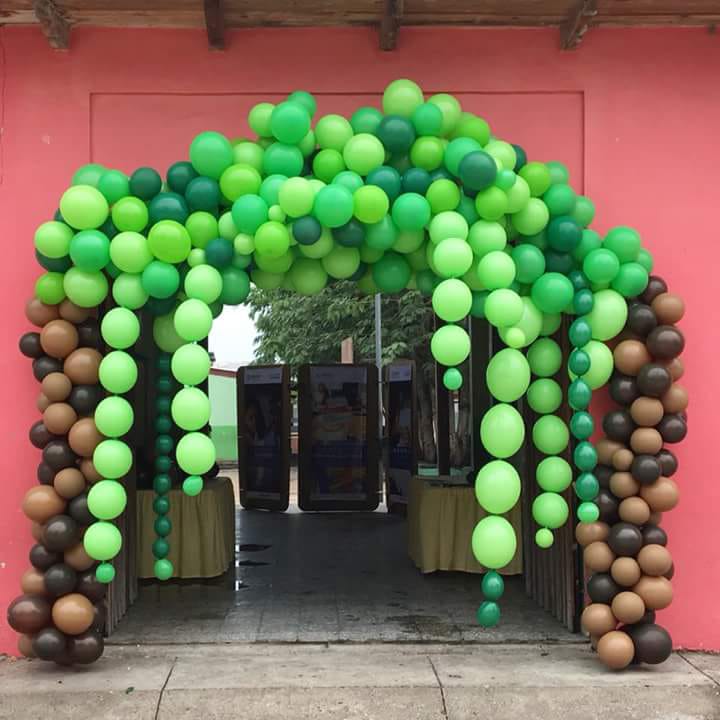 Entrance arch  balloon decoration 