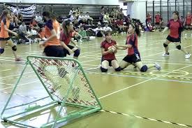Tchouk Ball Game Net On Rent For Birthday Parties and Corporate Events In Jaipur